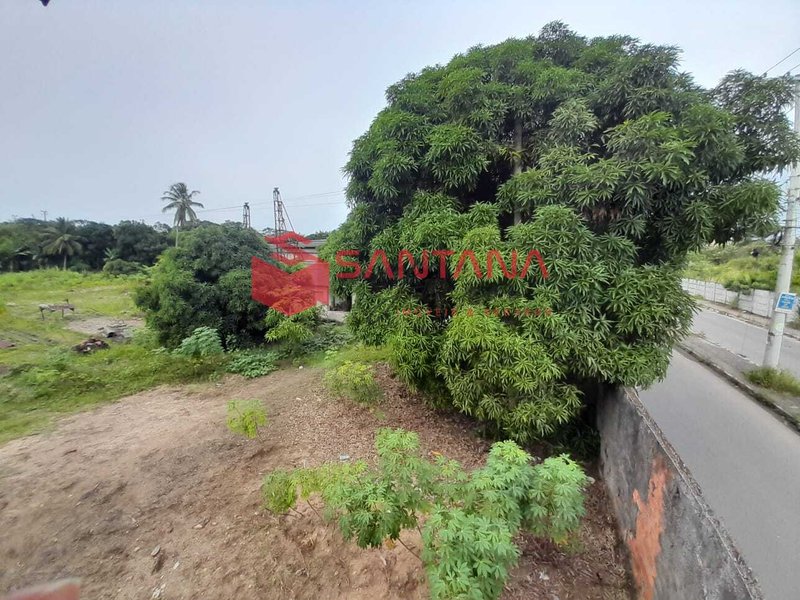 Grande Terreno à Venda em Abrantes – 8.400 m² - Excelente Oportunidade de Investimento Rua do Pantanal Camaçari - 