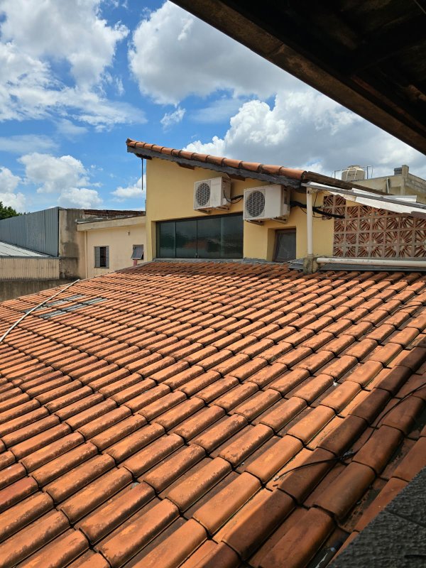 casa terrea Rua Santo Aniceto São Paulo - 