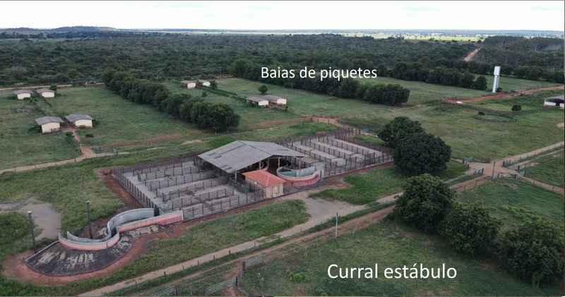 Fazenda em Jaíba MG Norte de Minas JAIBA - 