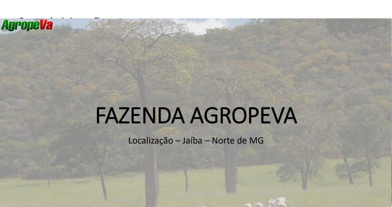 Fazenda em Jaíba MG Norte de Minas JAIBA - 
