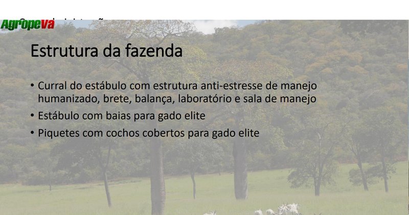 Fazenda em Jaíba MG Norte de Minas JAIBA - 
