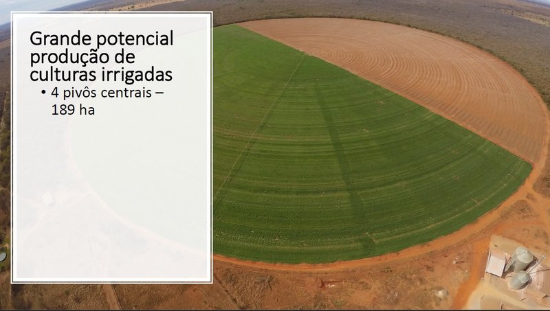 Fazenda em Jaíba MG Norte de Minas JAIBA - 