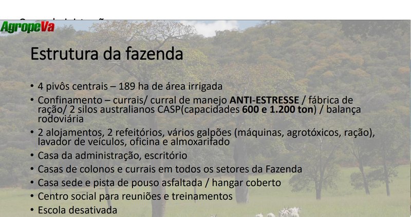 Fazenda em Jaíba MG Norte de Minas JAIBA - 