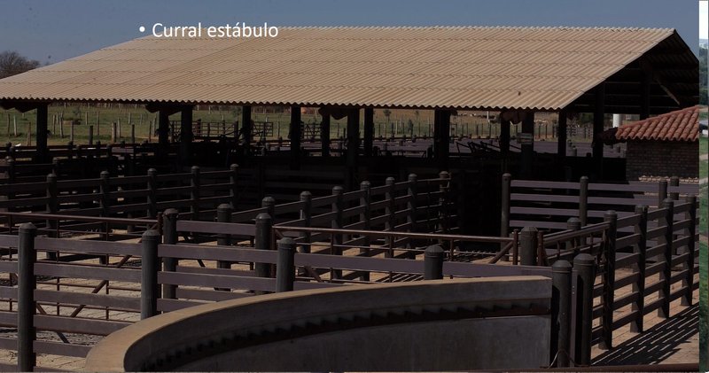 Fazenda em Jaíba MG Norte de Minas JAIBA - 