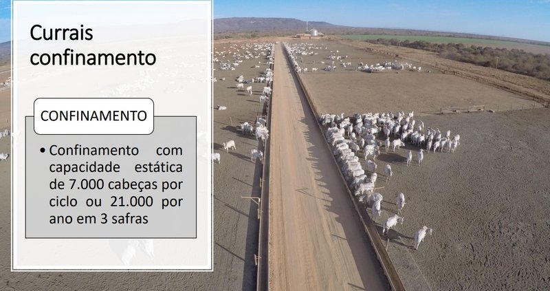 Fazenda em Jaíba MG Norte de Minas JAIBA - 