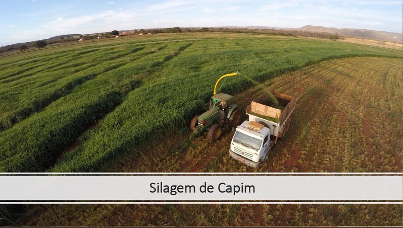 Fazenda em Jaíba MG Norte de Minas JAIBA - 