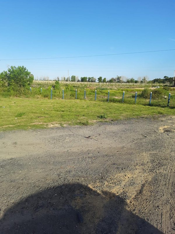 Terreno à venda nas margens da BR 367 sentido Porto Seguro BR 367 Eunápolis/Porto Seguro Porto Seguro - 
