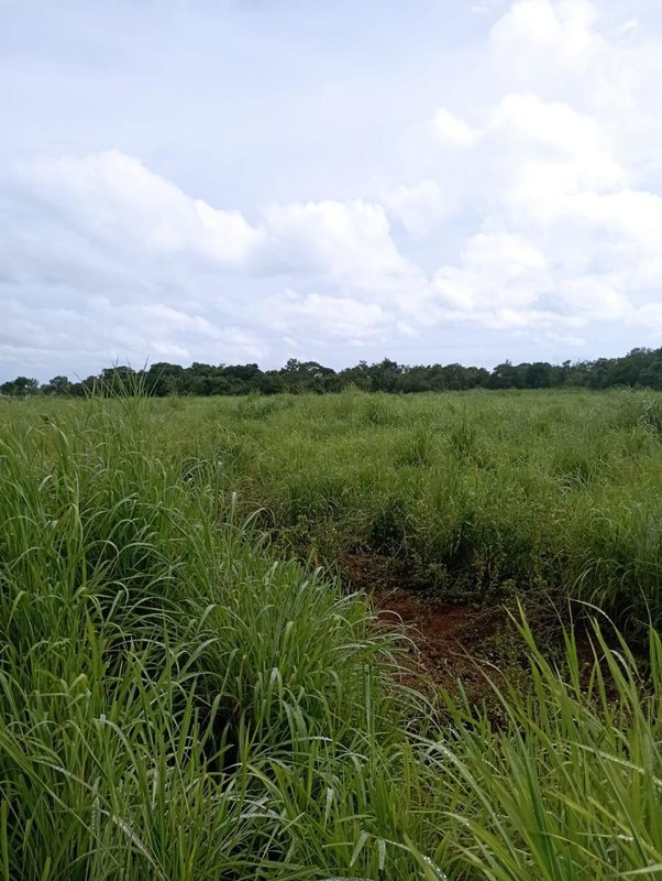 Fazenda em Buritizeiro MG Zona Rural BURITIZEIRO - 