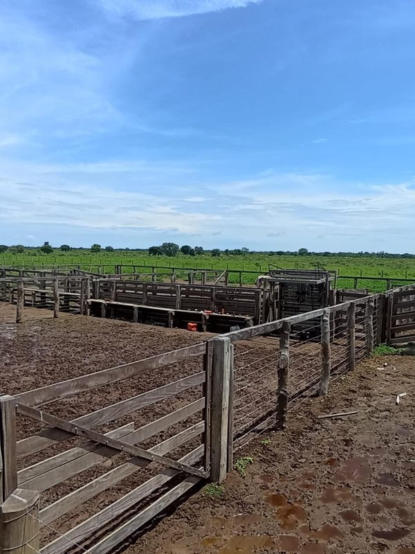 Fazenda em Buritizeiro MG Zona Rural BURITIZEIRO - 