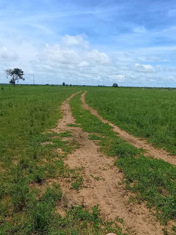 Fazenda em Buritizeiro MG Zona Rural BURITIZEIRO - 