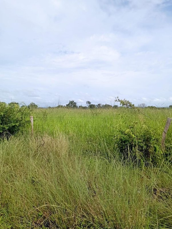 Fazenda em Buritizeiro MG Zona Rural BURITIZEIRO - 