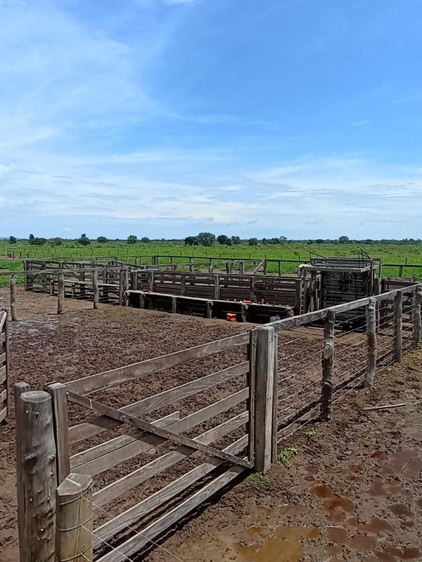 Fazenda em Buritizeiro MG Zona Rural BURITIZEIRO - 