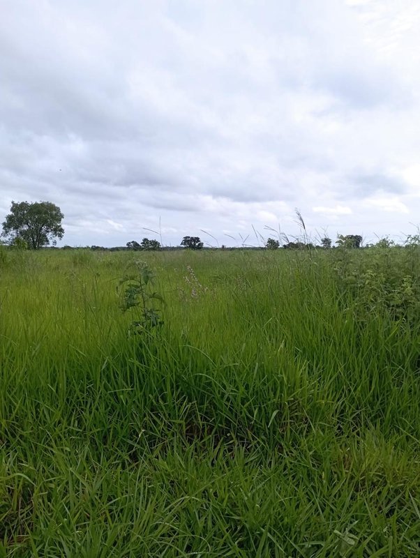 Fazenda em Buritizeiro MG Zona Rural BURITIZEIRO - 