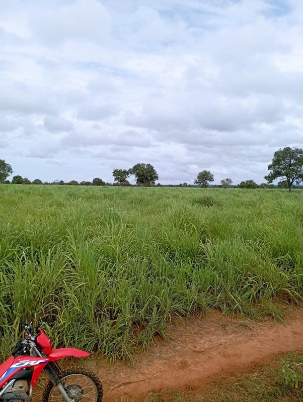 Fazenda em Buritizeiro MG Zona Rural BURITIZEIRO - 
