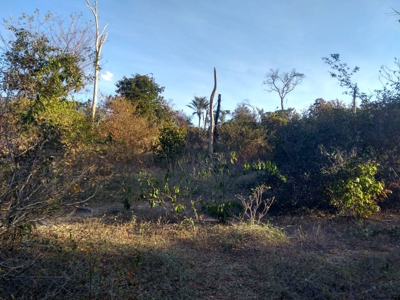 Fazenda em Janaúba MG Zona Rural Janaúba - 