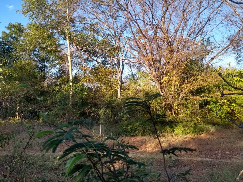 Fazenda em Janaúba MG Zona Rural Janaúba - 