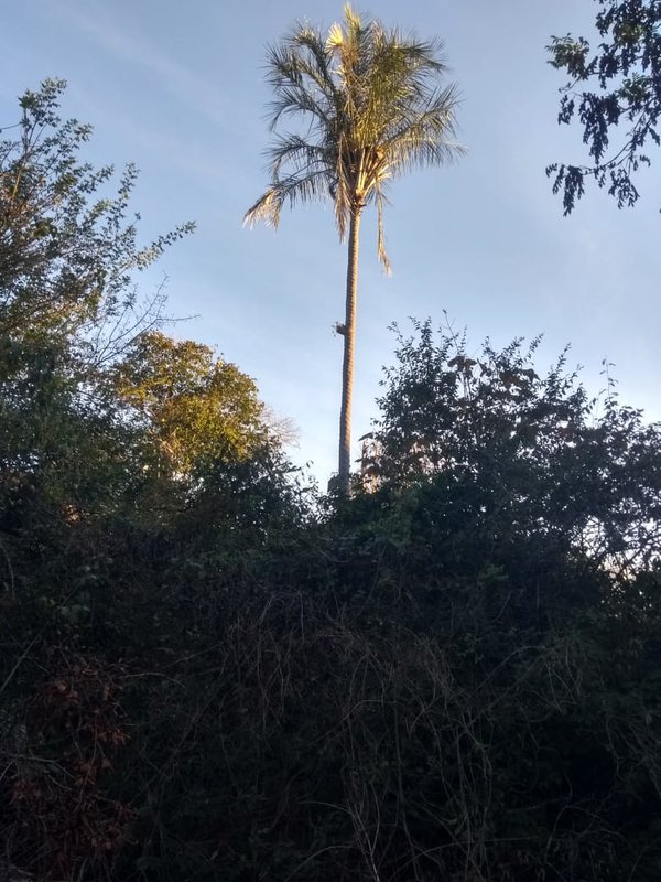 Fazenda em Janaúba MG Zona Rural Janaúba - 