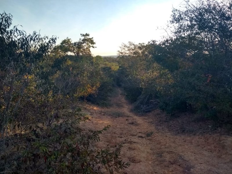 Fazenda em Janaúba MG Zona Rural Janaúba - 