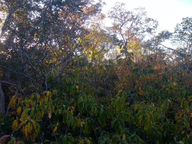 Fazenda em Janaúba MG Zona Rural Janaúba - 