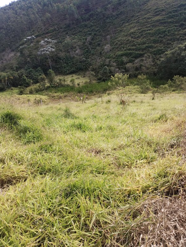 Terreno com boa topografia e uma pequena casa à venda no Morro Azul - Igaratá - 