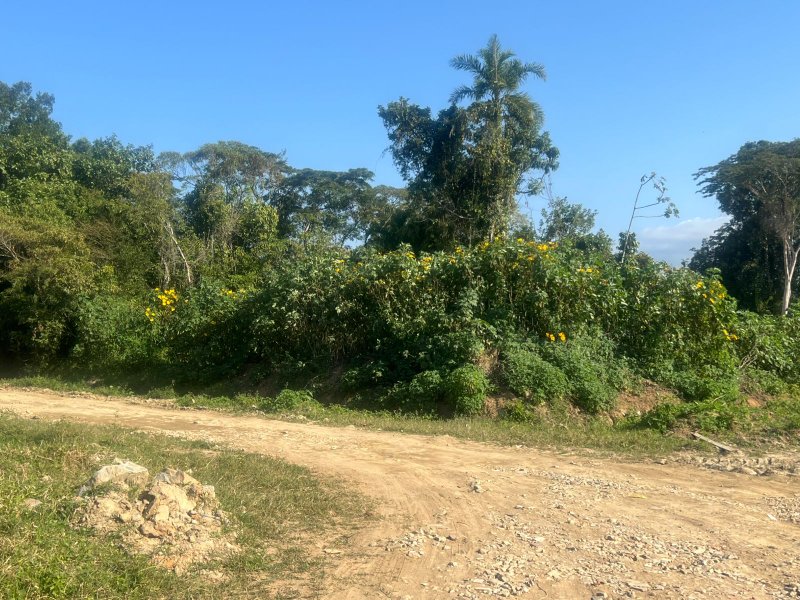 🏡 Terreno de Esquina à Venda – Golfinho - Caraguatatuba - 