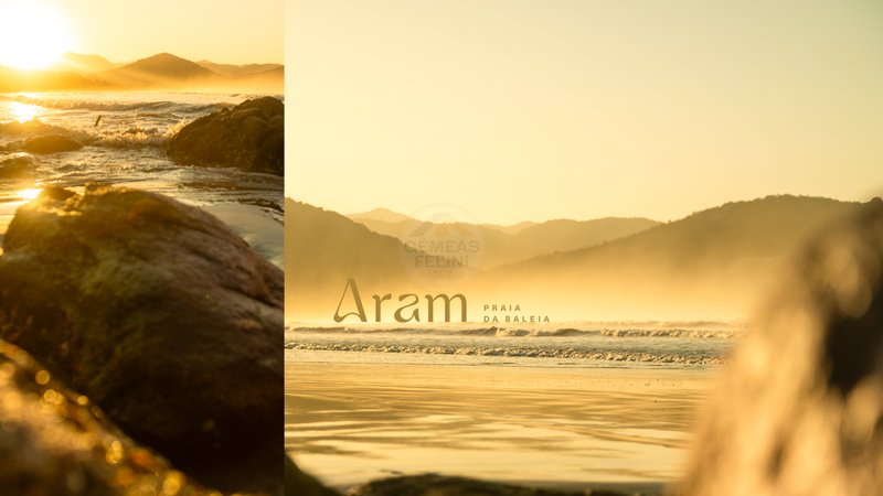 Aram Praia da Baleia, o luxo de morar entre o verde e o mar! - LANÇAMENTO - São Sebastião - 
