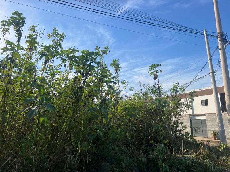 🏡 Terreno à Venda – Golfinho - Caraguatatuba - 