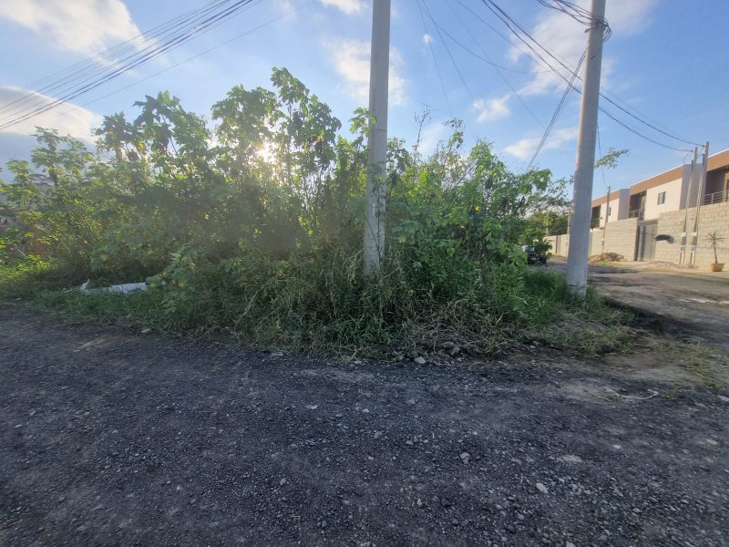 🏡 Terreno à Venda – Golfinho - Caraguatatuba - 