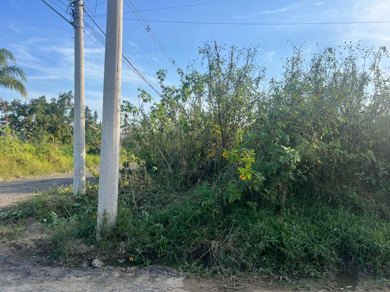 🏡 Terreno à Venda – Golfinho - Caraguatatuba - 