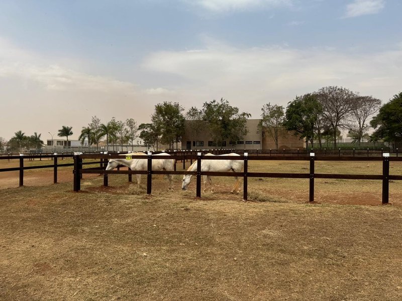 Lote à venda no Condomínio Haras Patente - Oportunidade!! Avenida Haras Patente Jaguariúna - 
