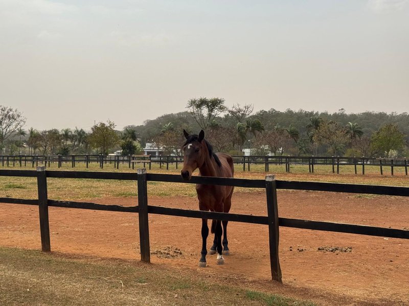 Lote à venda no Condomínio Haras Patente - Oportunidade!! Avenida Haras Patente Jaguariúna - 