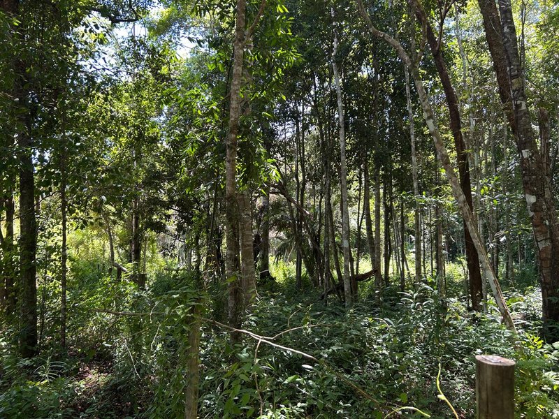 Terreno em Trancoso Trancoso Porto Seguro - 