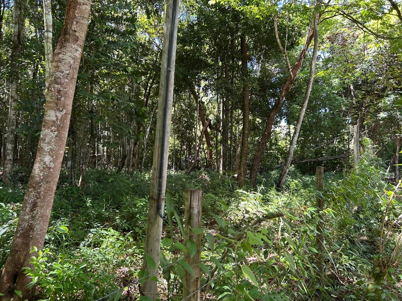 Terreno em Trancoso Trancoso Porto Seguro - 