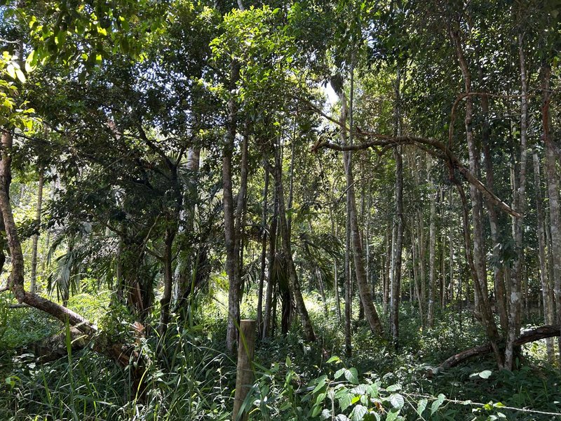 Terreno em Trancoso Trancoso Porto Seguro - 