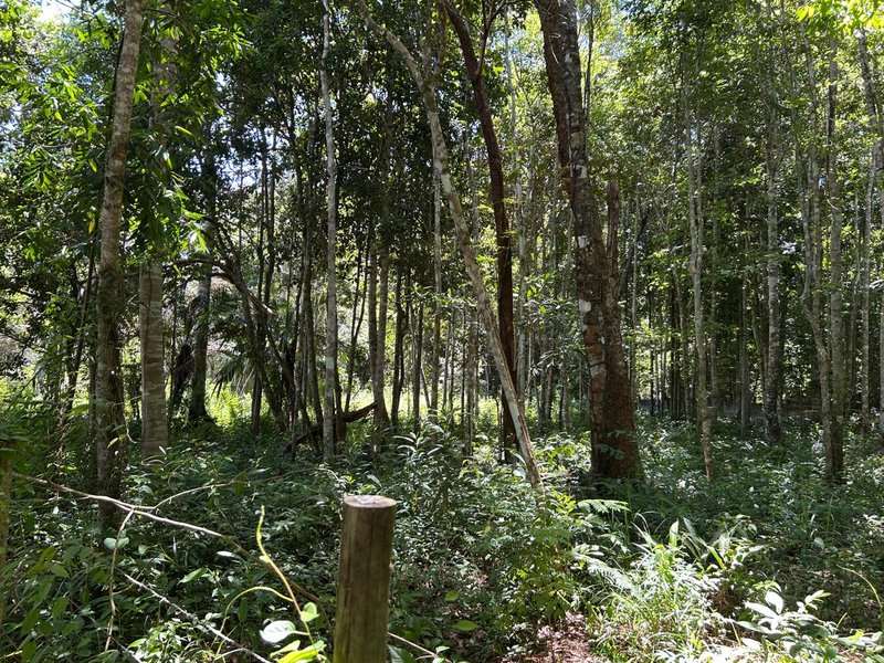Terreno em Trancoso Trancoso Porto Seguro - 