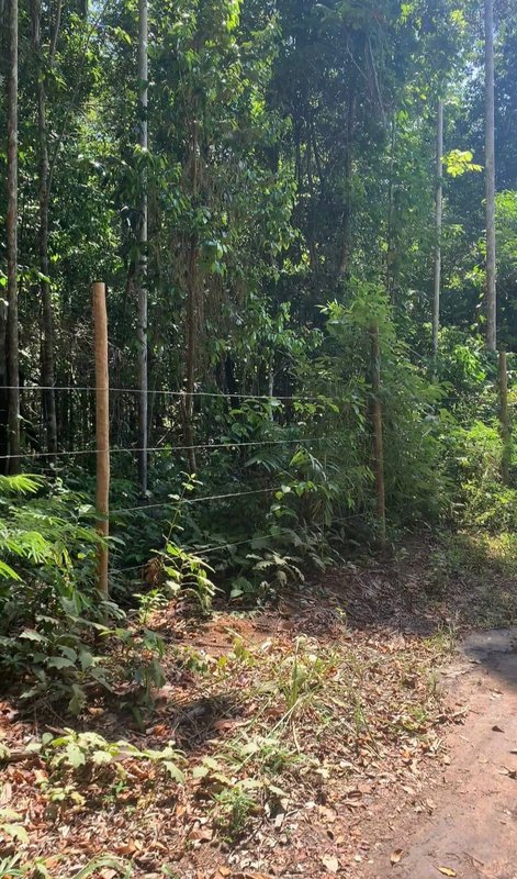 Terreno COM ESCRITURA à venda em TRANCOSO - Oportunidade imperdível! Próximo à Churrascaria Estrela do Sul Porto Seguro - 