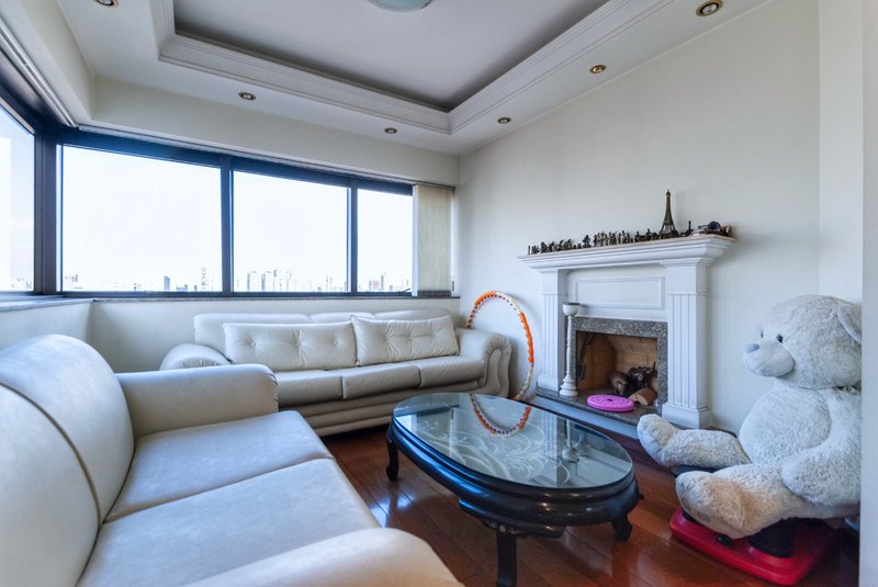 Apartamento 250m² na Aclimação 4 suítes 3 vagas Rua Castro Alves São Paulo - 