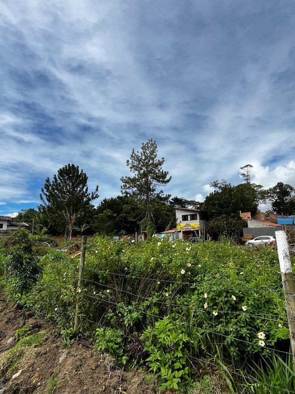 Terreno no Bairro Mangabeiras Mangabeiras Porto Seguro - 