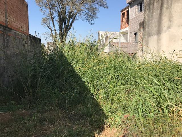 terreno  São Paulo - 