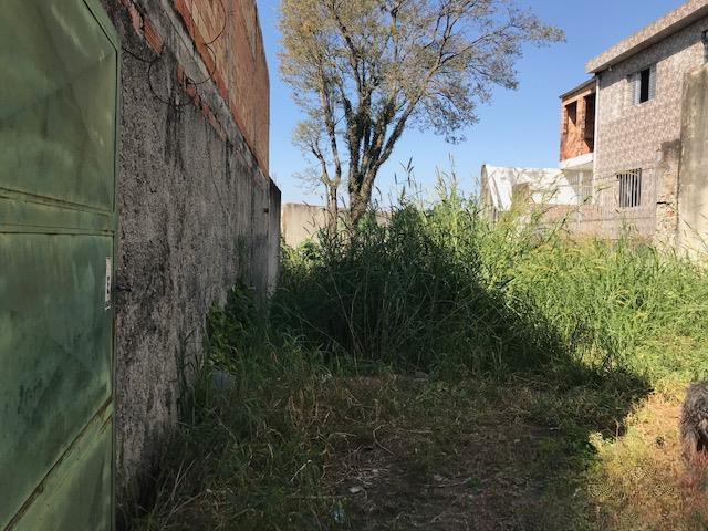 terreno  São Paulo - 