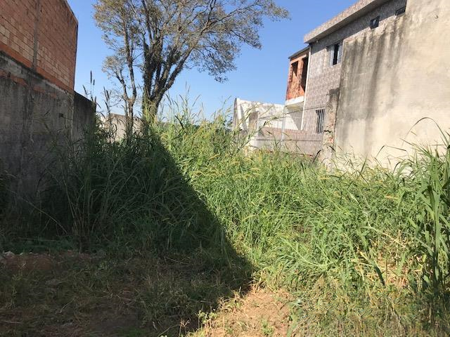 terreno  São Paulo - 