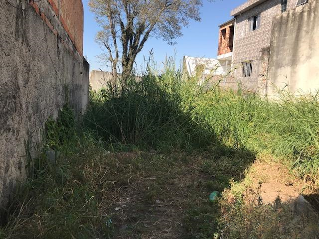 terreno  São Paulo - 