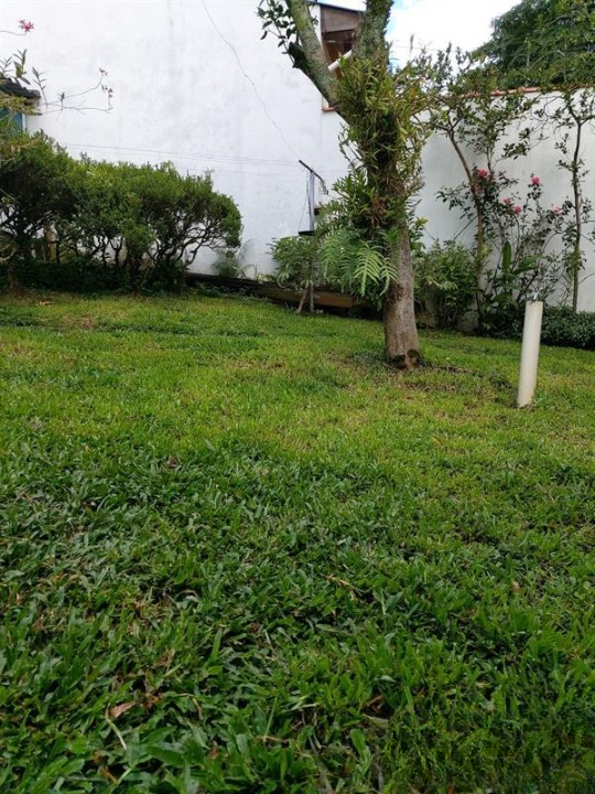 terreno Rua José dos Santos Castro São Paulo - 