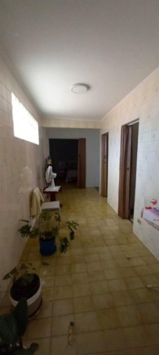 prédio Rua Professor Oliveira E Sousa São Paulo - 