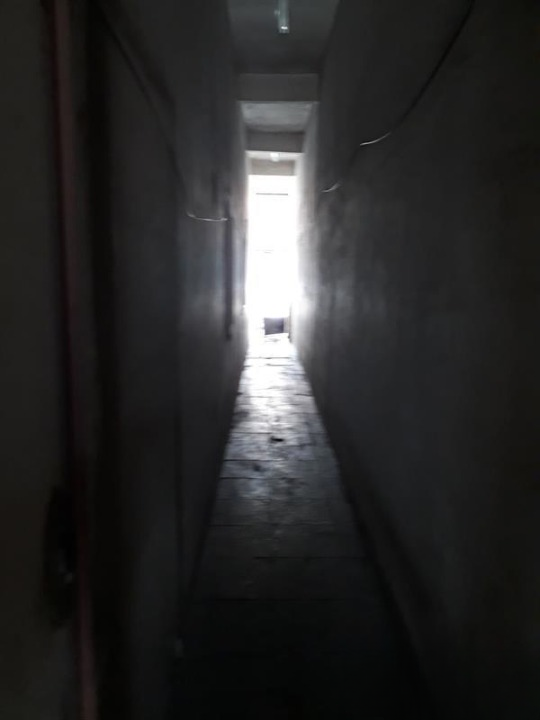galpão Rua Doutor Tolstoi de Carvalho São Paulo - 