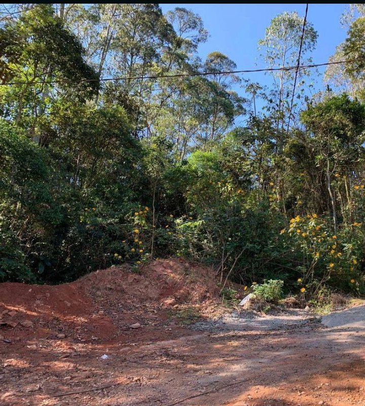 apartamento Rua Capitão Sérvio Rodrigues Caldas São Paulo - 