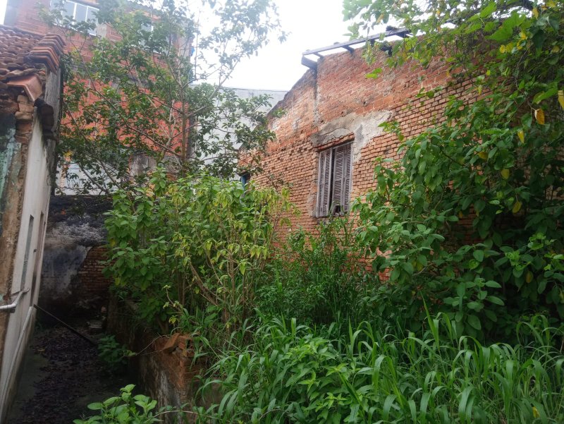 terreno Rua José Maria São Paulo - 
