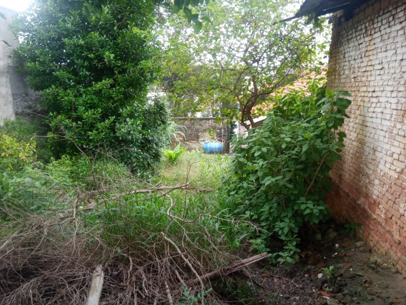 terreno Rua José Maria São Paulo - 
