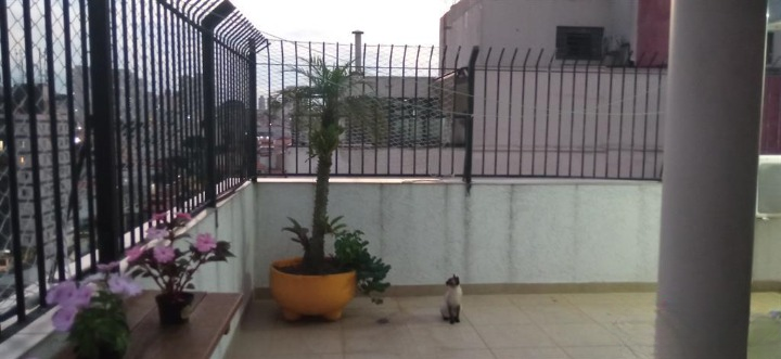 duplex Avenida Henri Janor São Paulo - 