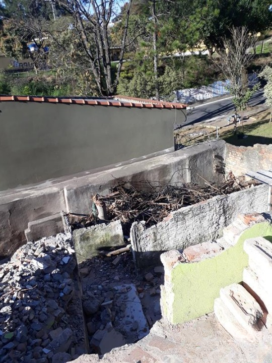 Terreno Rua Homero Batista São Paulo - 